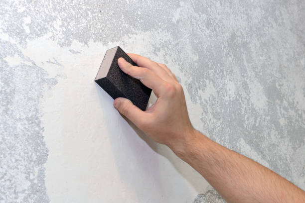 Best Black Mold Removal  in Bellevue, ID