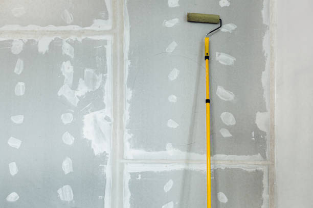 Bellevue, ID Mold Removal Company