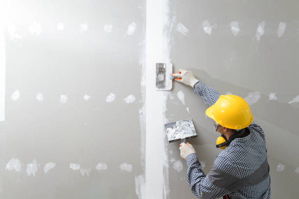 Best Mold Odor Removal Services  in Bellevue, ID