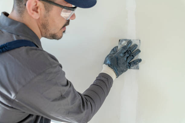 Best Mold Remediation for Vacation Homes  in Bellevue, ID