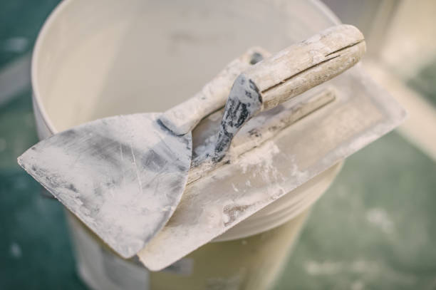 Mold Odor Removal Services in Bellevue, ID