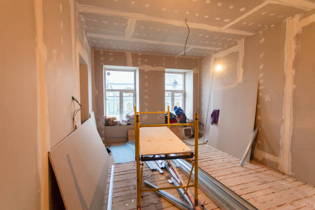 Trusted Bellevue, ID Mold Removal Experts